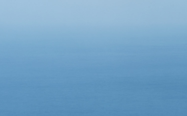 長谷川栄雅 日本酒 sake