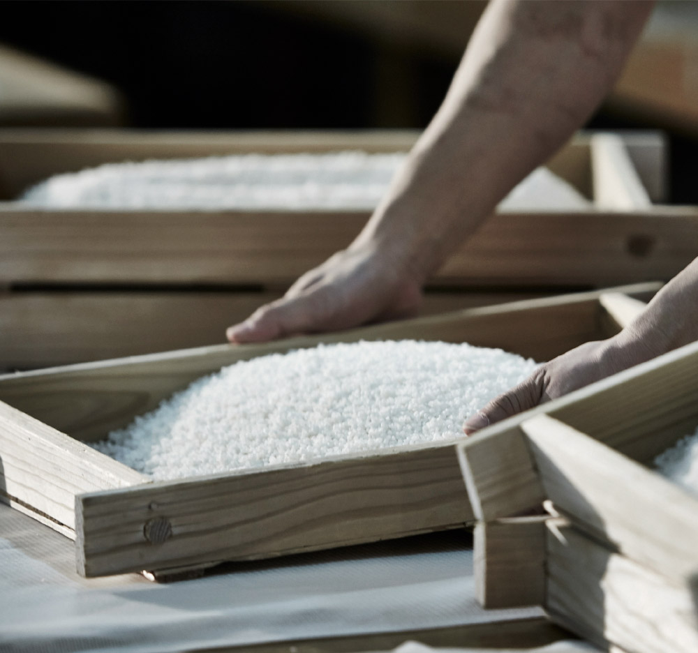 長谷川栄雅 日本酒 sake