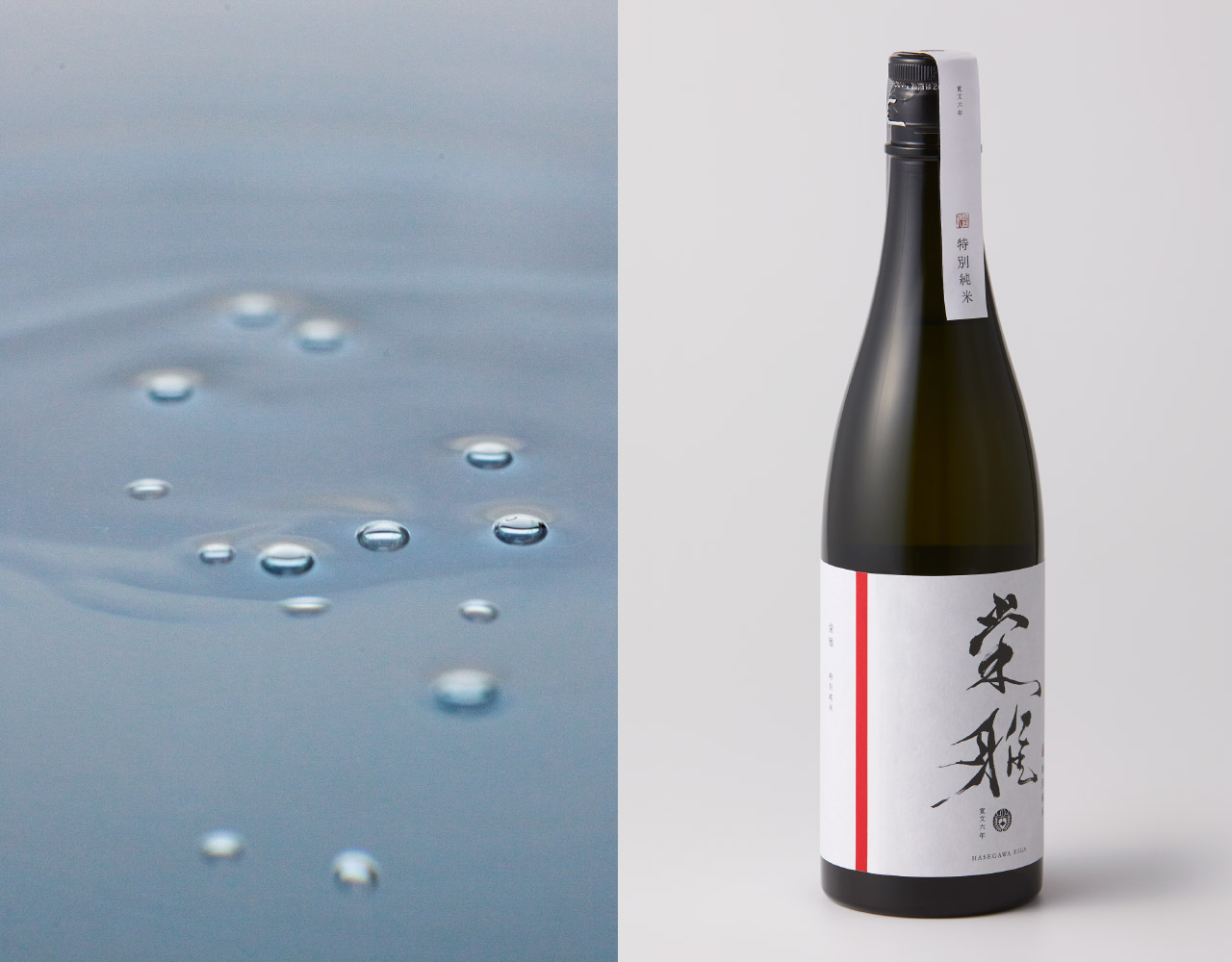 栄雅：特別純米5割＜袋しぼり＞｜高級日本酒「長谷川栄雅」