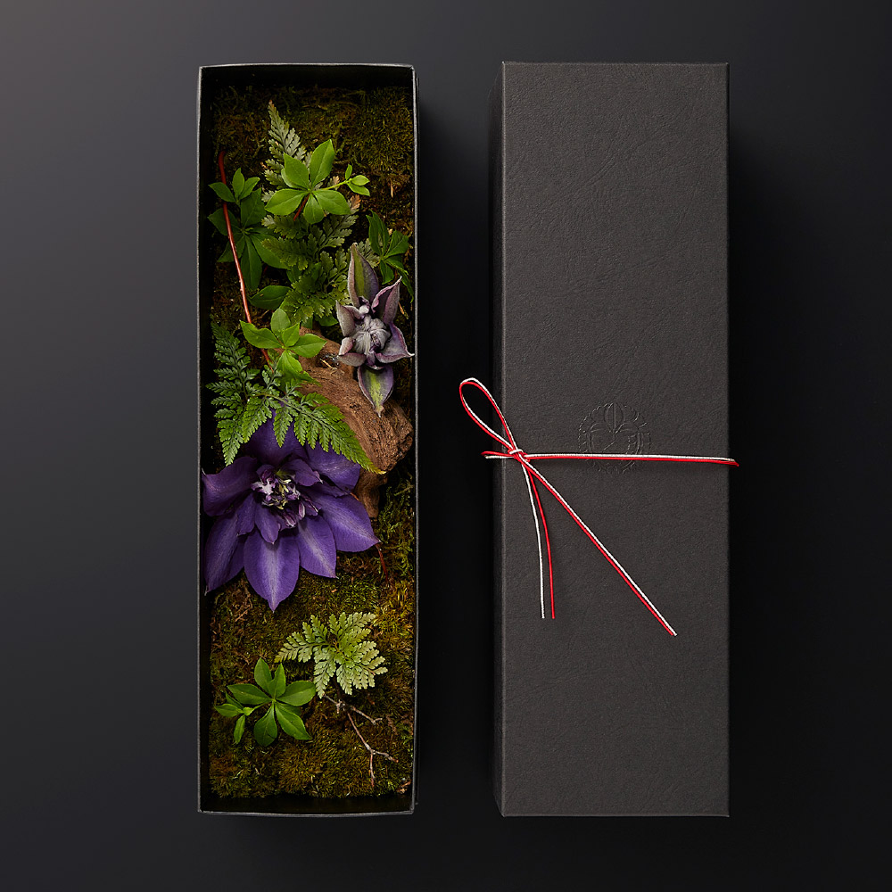 Ĺë��ɲ� ���ܼ� �ե��ܥå���