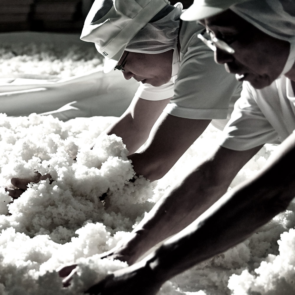 長谷川栄雅 日本酒 sake